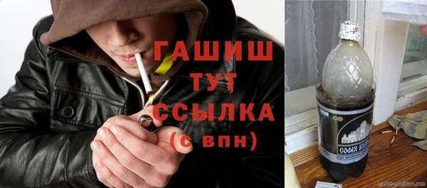 крисы Алексин