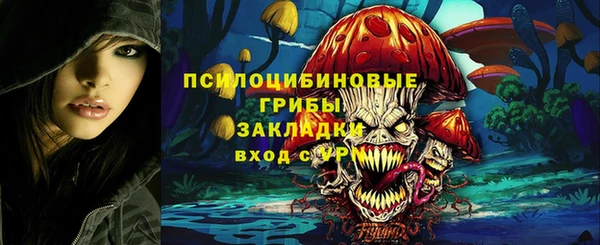 соль курить ск Алзамай