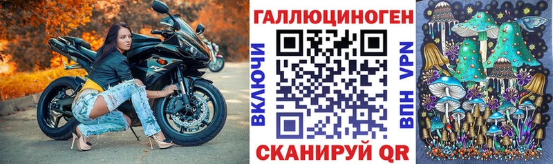Псилоцибиновые грибы GOLDEN TEACHER  KRAKEN маркетплейс  Сосновка 